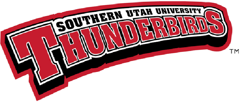Southern Utah Thunderbirds 2002-Pres Wordmark Logo DIY iron on transfer (heat transfer)